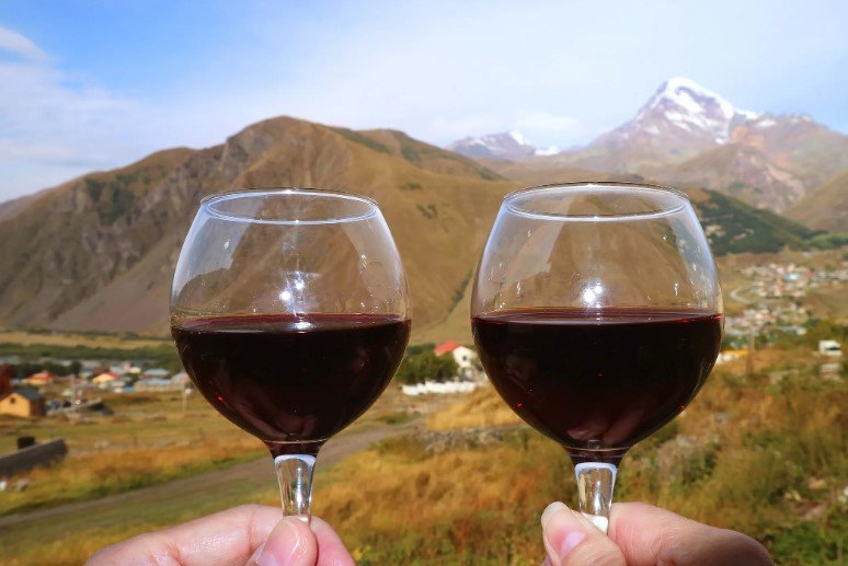 german wine experts exploring georgian