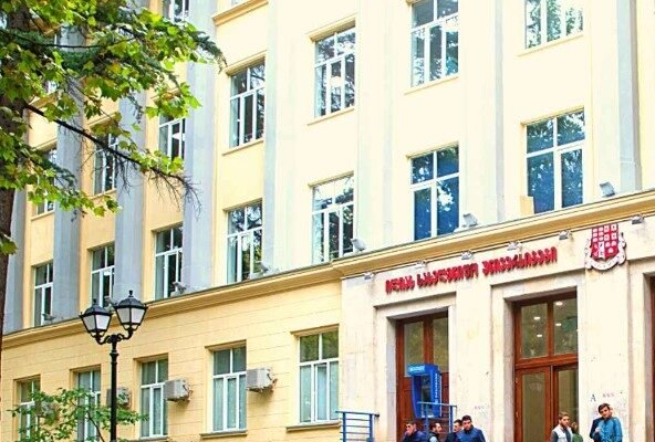 ilia state university appeals conditional authorization
