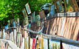 fotoatelier-georgia-photography-art-market