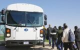 shame-movement-free-bus-rides-elections