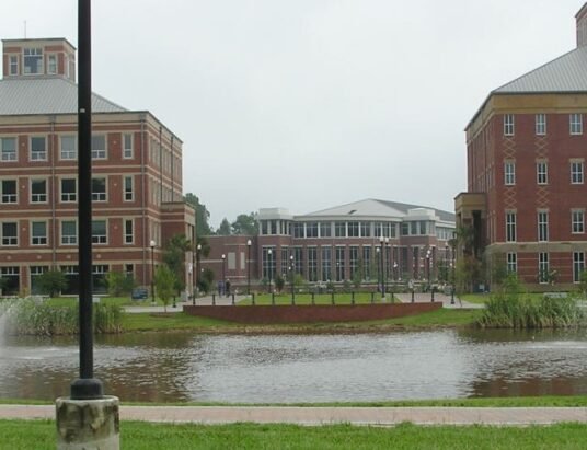 Georgia Southern University