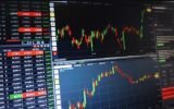 Stock market India November 2024