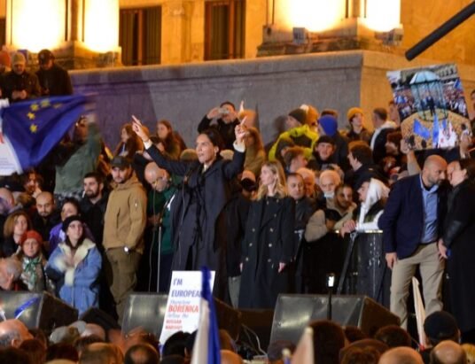 Tbilisi protest crowd