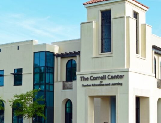 Georgia higher education