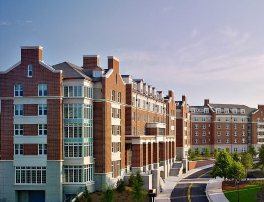 Georgia universities out-of-state student