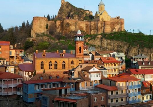 Germany suspends projects with Georgia