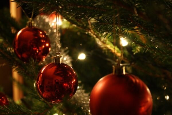 Houston County firefighter Christmas decorations