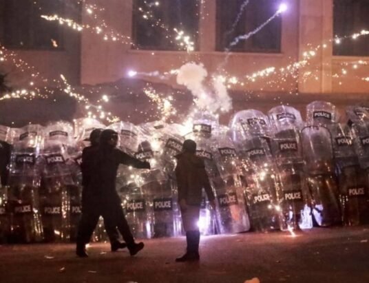 Protesters detained by police in Georgia