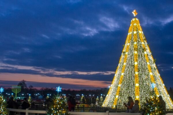 Trump Christmas 2024 holiday post