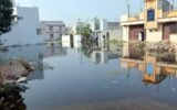 allu-arjun-children-vandalised-home-hyderabad