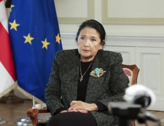 georgia-president-inauguration-protests-tbilisi