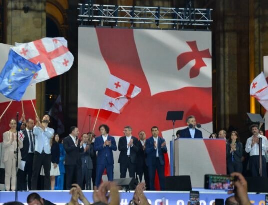 georgian dream government corruption protests