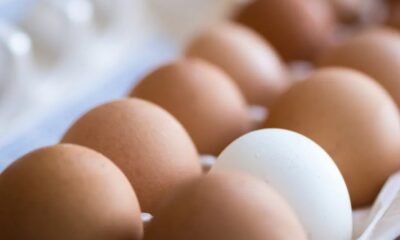 Georgia Halts Poultry Sales as Federal Government Allocates $590 Million for Flu Vaccines