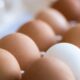 Georgia Halts Poultry Sales as Federal Government Allocates $590 Million for Flu Vaccines