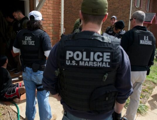 Georgia man arrested police pursuit