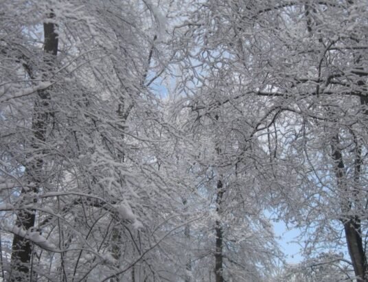 Georgia winter storm freezing temperatures