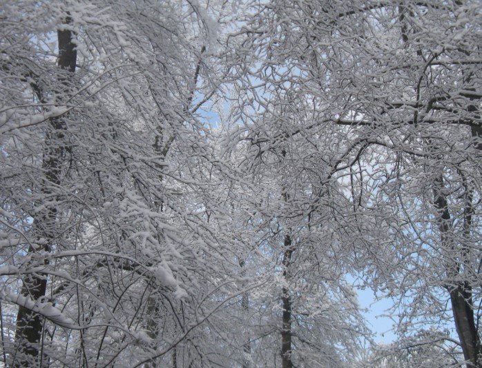 Georgia winter storm freezing temperatures