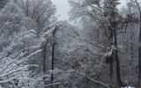 Georgia winter storm preparations