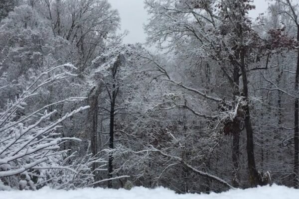 Georgia winter storm preparations