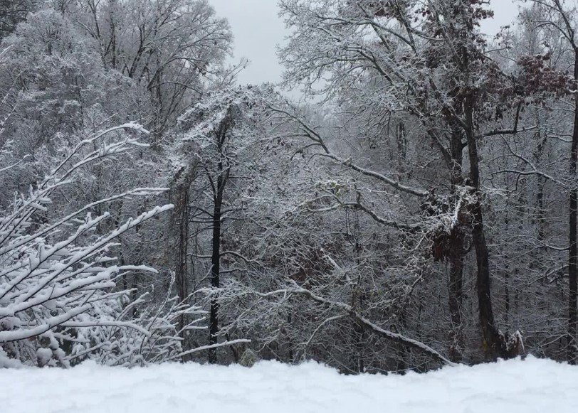 Georgia winter storm preparations