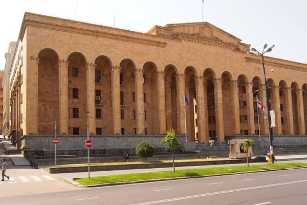 Georgian Dream authoritarianism human