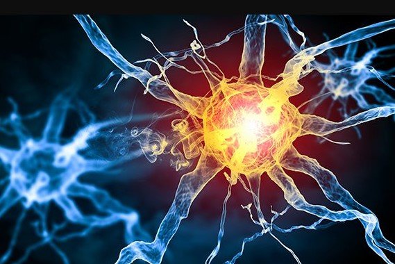Guillain-Barré Syndrome cases Pune