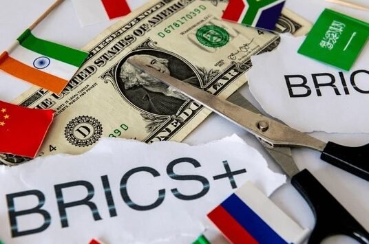 India BRICS flag currency crisis