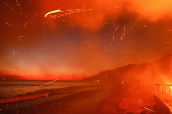 Pacific Palisades fire destruction California