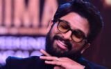 Pushpa 2 Hindi box office