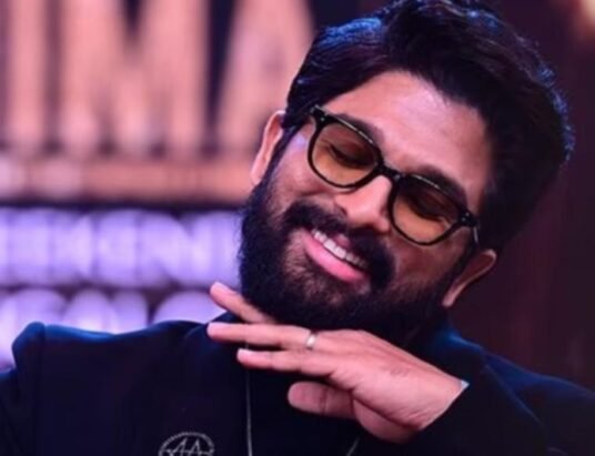 Pushpa 2 Hindi box office