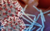 RSV virus under microscope