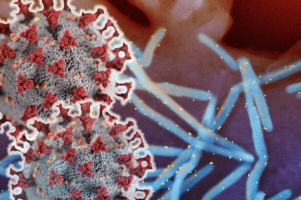 RSV virus under microscope