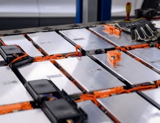 Wonderla Holidays Q3 2025 results