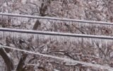 atlanta snow ice trees downed power lines