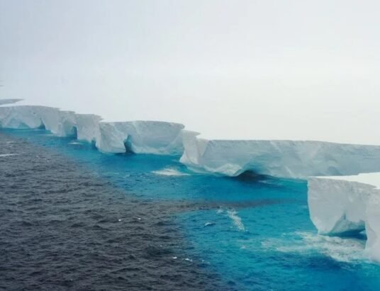 iceberg A23a collision South Georgia