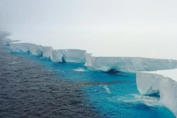 iceberg A23a collision South Georgia