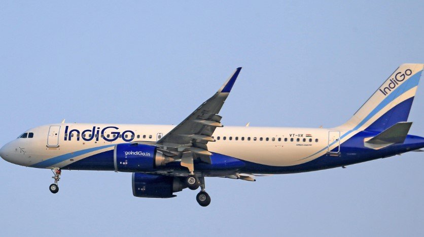 indigo coldplay concert flight