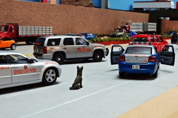 police cars outside consulate building Georgia