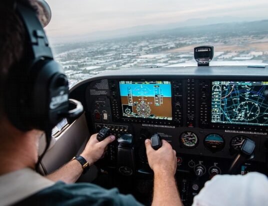 American Airlines pilot
