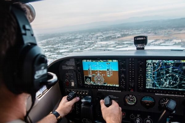 American Airlines pilot