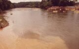 Chattahoochee River pollution