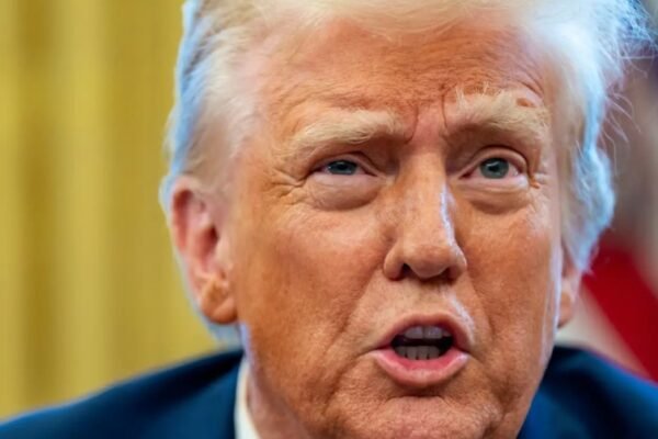 Donald Trump halts US aid to South Africa