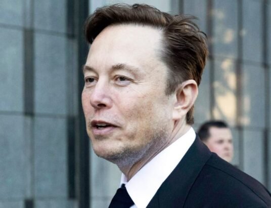 Elon Musk X poll on rehiring