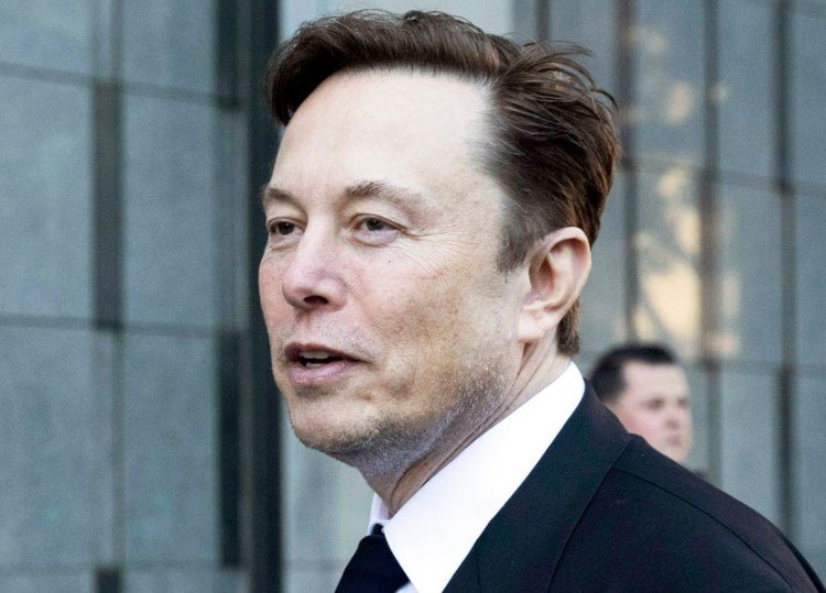 Elon Musk X poll on rehiring