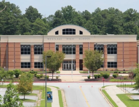 Georgia public schools