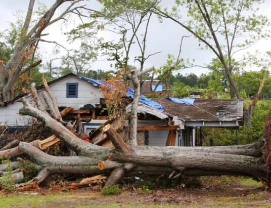 Georgia storm damage