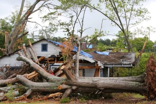 Georgia storm damage