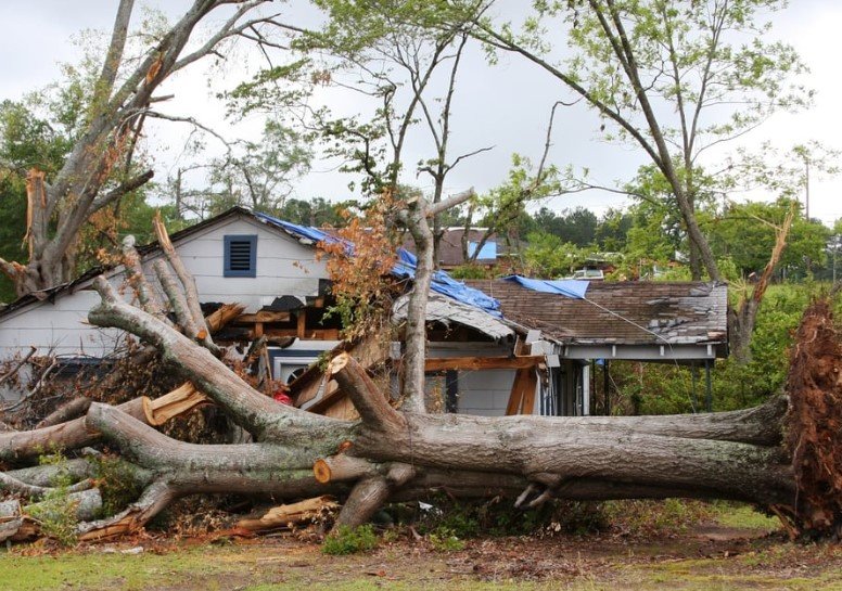 Georgia storm damage