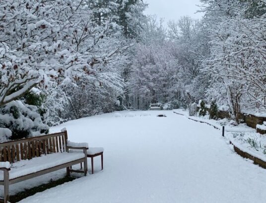 Georgia winter landscape