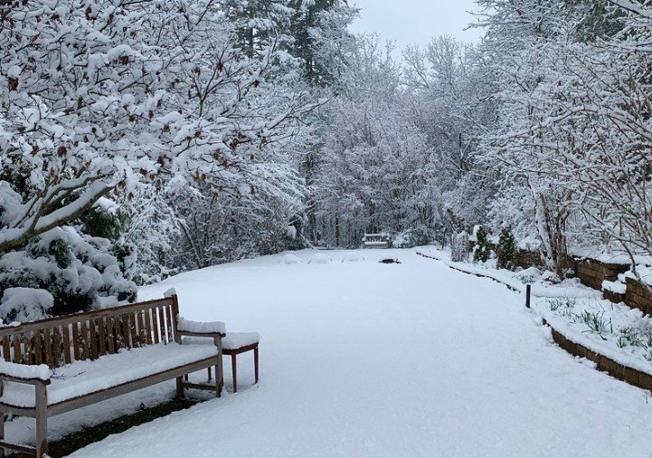 Georgia winter landscape